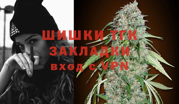 ГАЛЛЮЦИНОГЕННЫЕ ГРИБЫ Беломорск