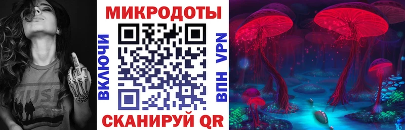 Галлюциногенные грибы Cubensis  наркотики  Соль-Илецк 